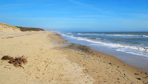 Sandee - Curracloe Beach