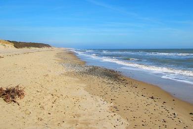 Sandee - Curracloe Beach