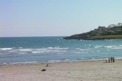 Sandee Inchydoney Beach