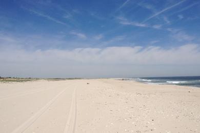 Sandee Barnegat Light 29th St Beach