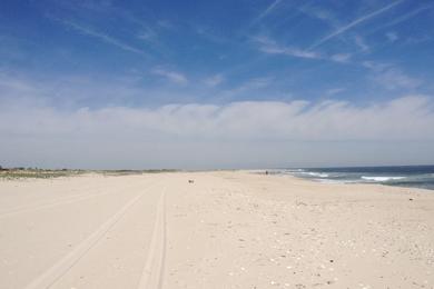 Sandee Barnegat Light 29th St Beach Photo