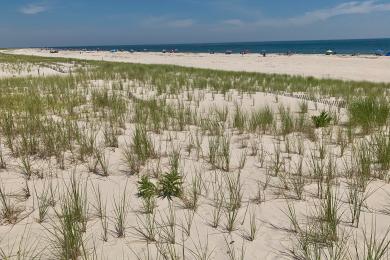 Sandee Barnegat Light 9th St Beach Photo