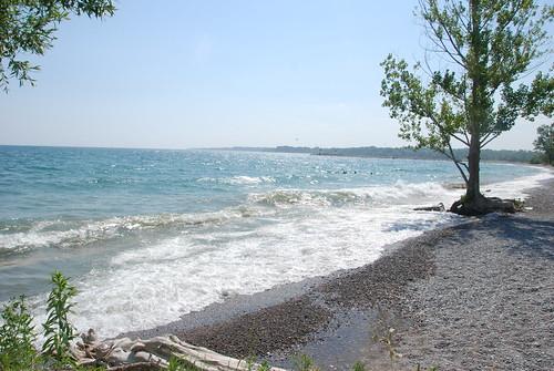 Sandee - Pickering Beach