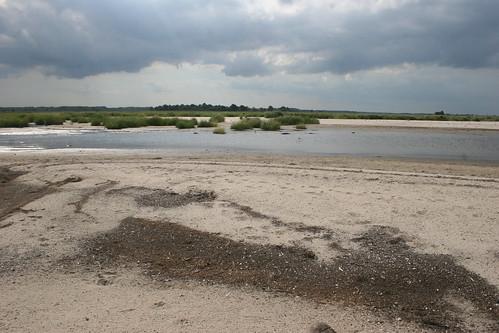 Sandee Primehook Beach