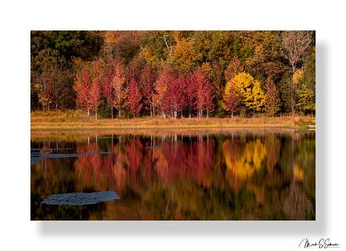 Sandee Mark Twain State Park Photo