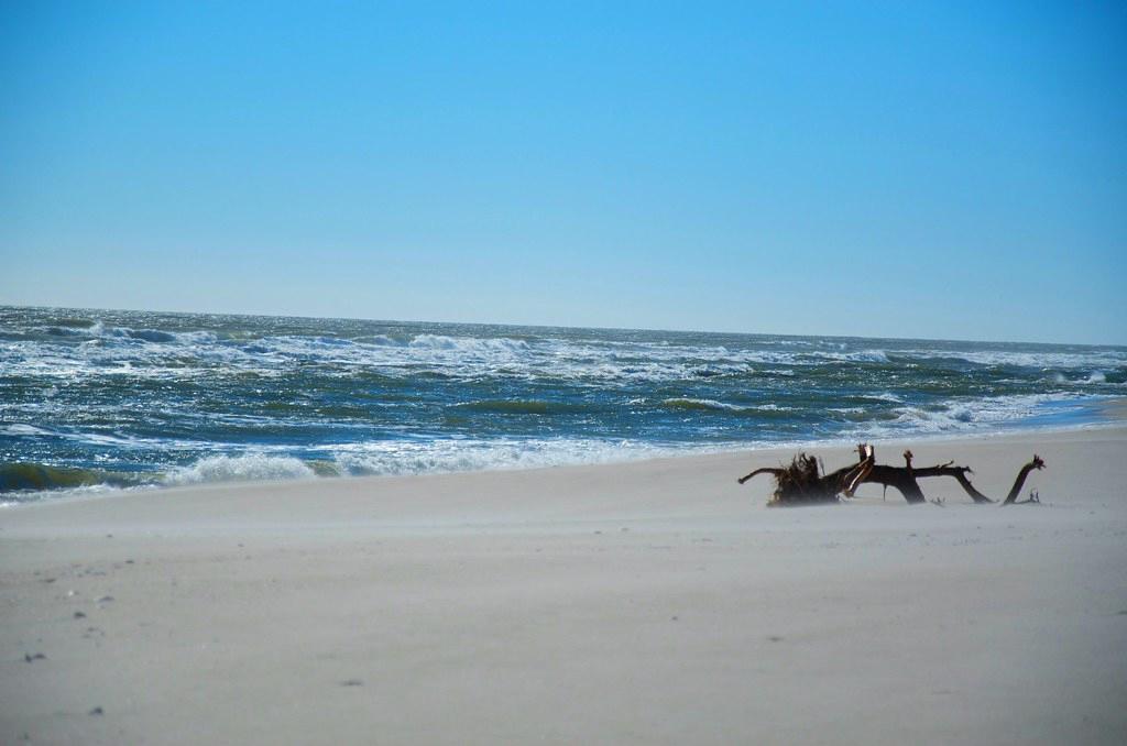 Sandee - Barnegat Light Bay Beach