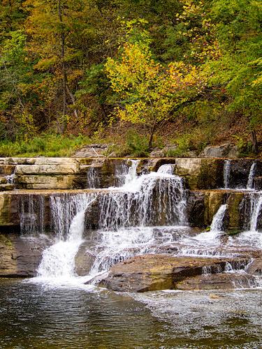 Sandee Finger Lakes State Park Photo