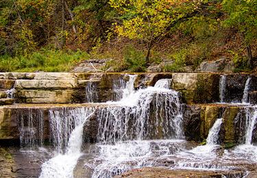 Sandee Finger Lakes State Park Photo