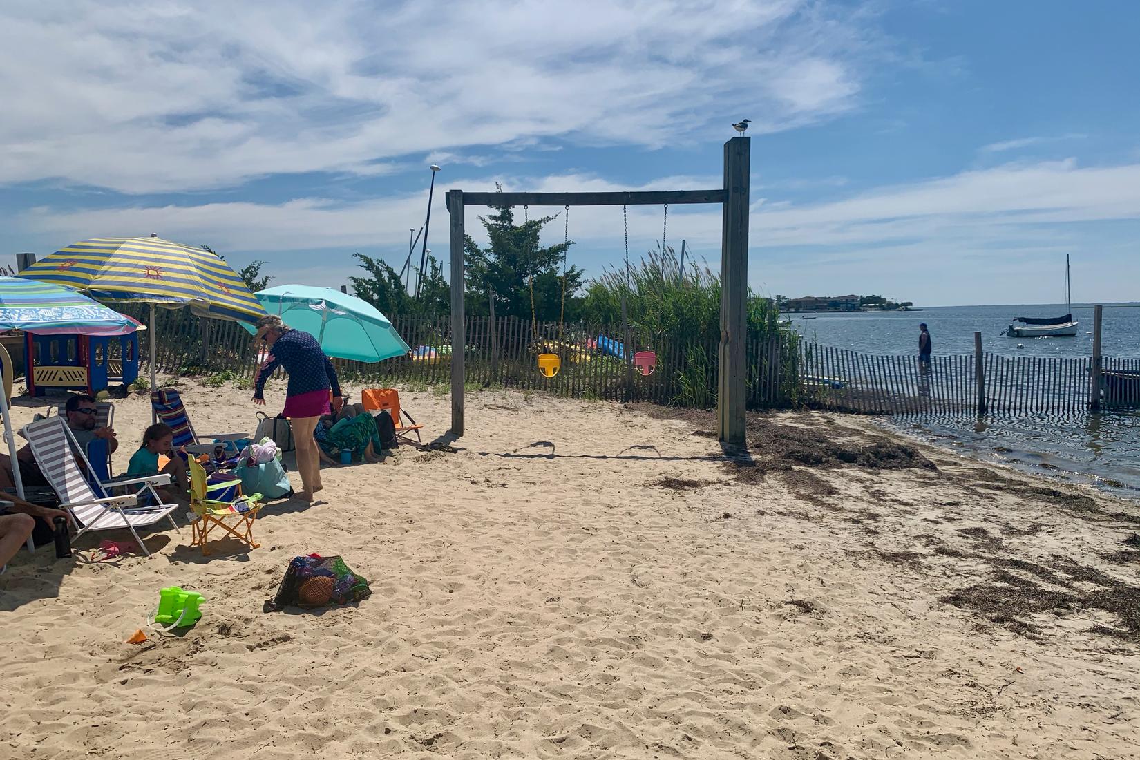 Sandee - Barnegat Light Bay Beach