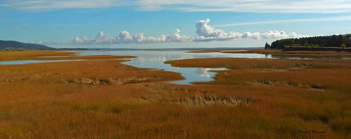 Sandee - Shepody Bay