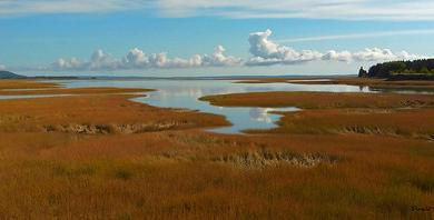 Sandee Shepody Bay