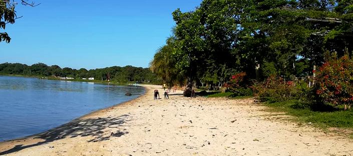 Sandee - Ssese Island Beach