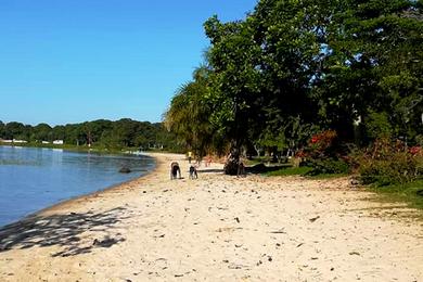 Sandee - Ssese Island Beach