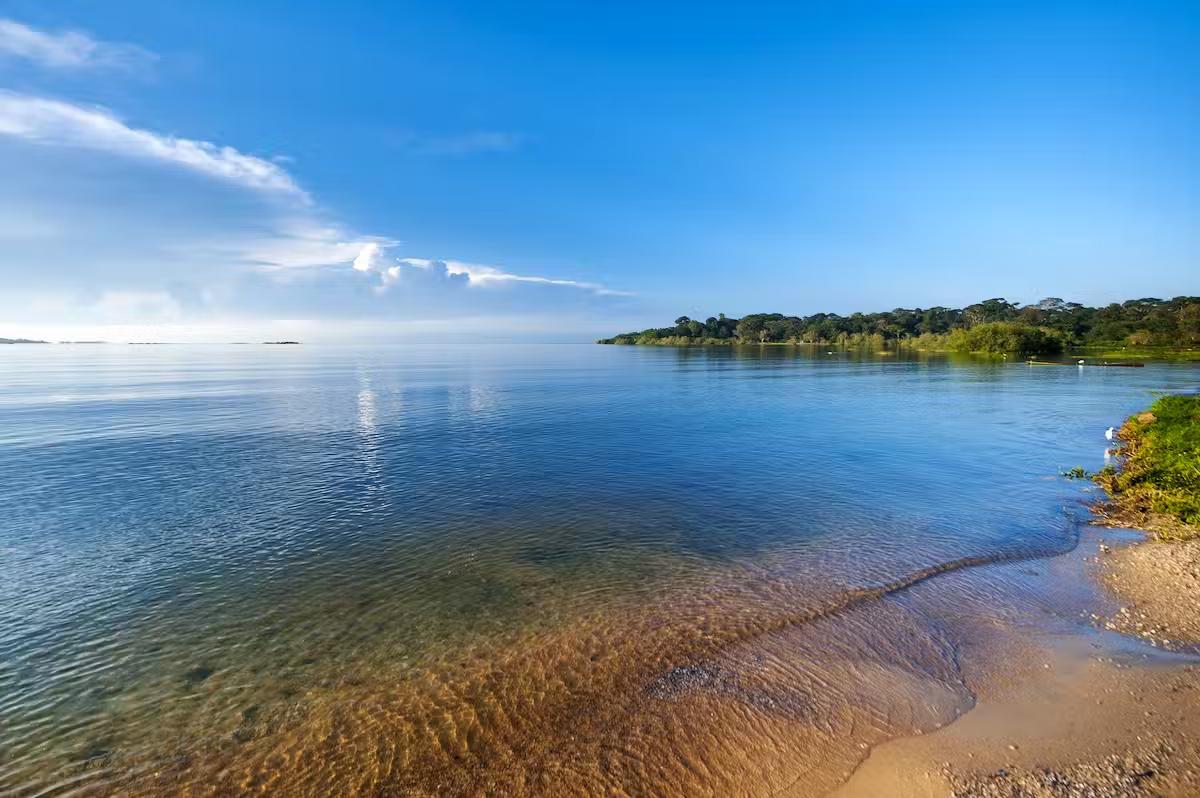 Sandee - Ssese Island Beach