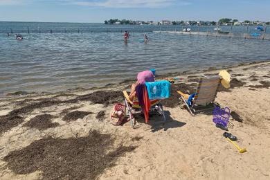 Sandee - Barnegat Light Bay Beach