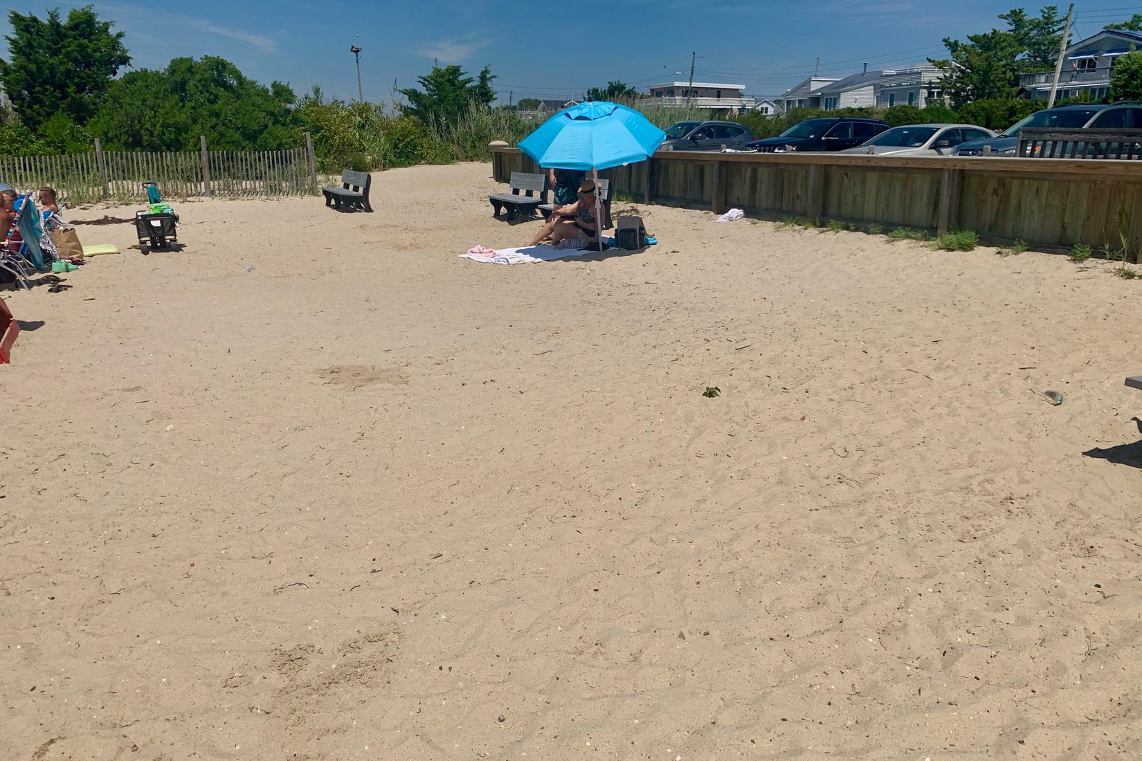 Sandee - Barnegat Light Bay Beach