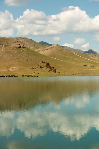 Sandee - HomePage / Jizzakh
