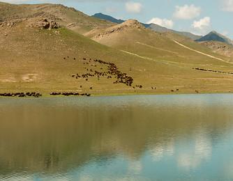 Sandee - Country / Jizzakh