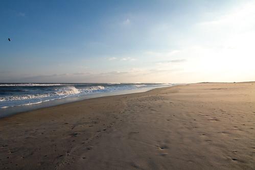 Sandee Assateague Beach Photo