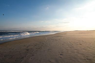 Sandee Assateague Beach Photo