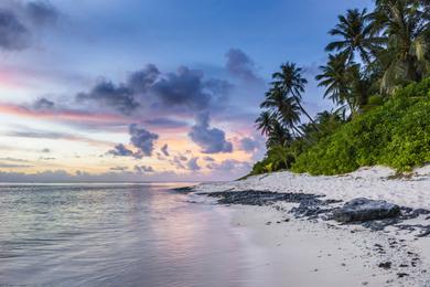 Sandee Petite Ile Bois Mangue Beach Photo