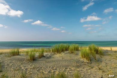 Sandee Beach Of La Palmyre Photo