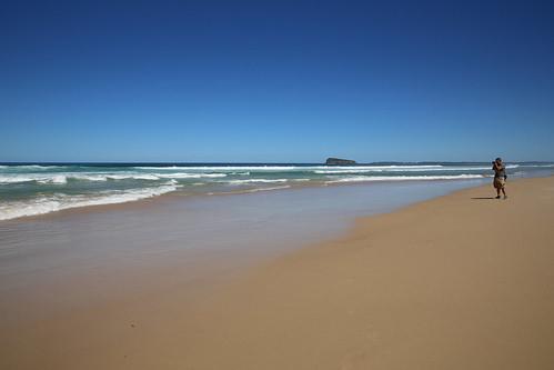 Sandee Birdie Beach Photo