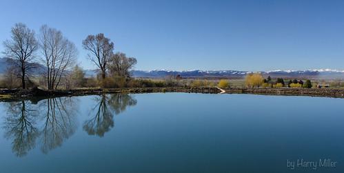 Sandee - Bozeman Pond