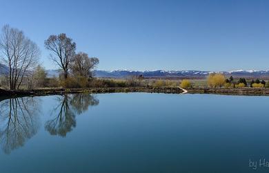Sandee Bozeman Pond