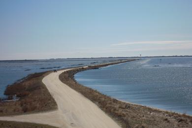 Sandee - North Brigantine Beach