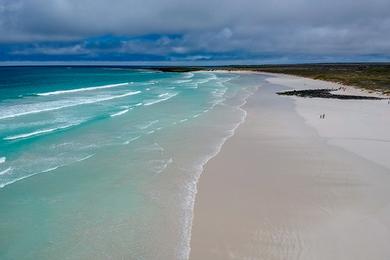 Sandee - Tortuga Bay