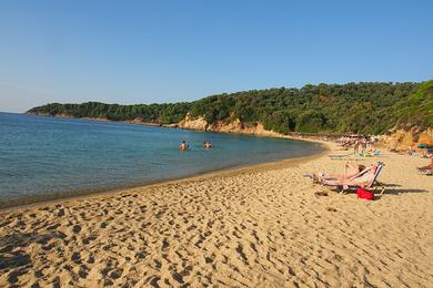 Sandee Little Banana Beach