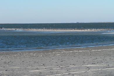 Sandee - North Brigantine Beach