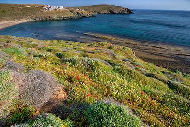 Sandee - Merchia Beach