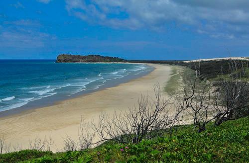 Sandee Orchid Beach Photo