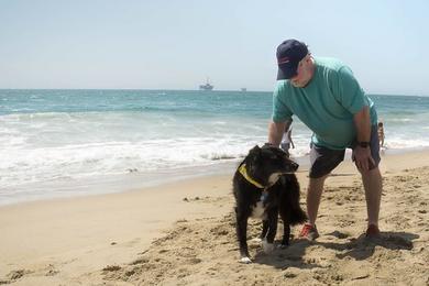 Sandee Huntington Dog Beach