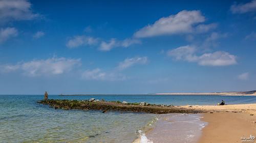 Sandee Poles Beach Photo