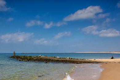 Sandee Poles Beach Photo