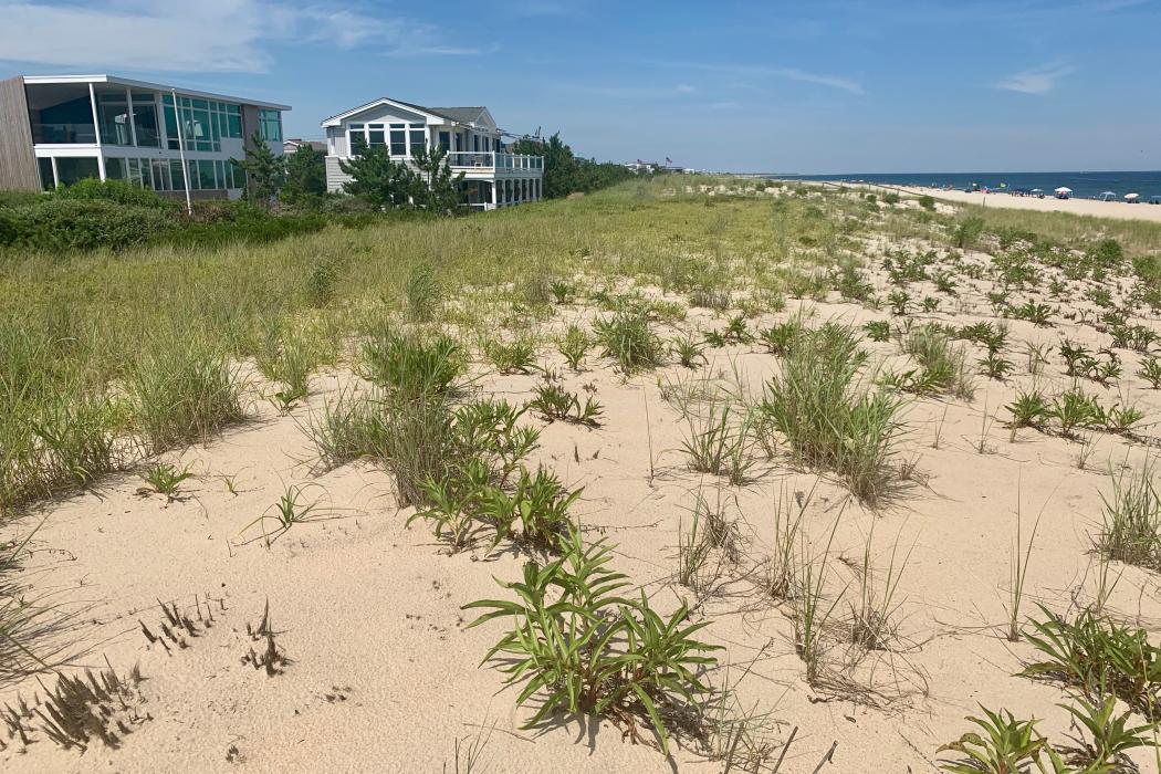 Sandee Harvey Cedars Beach Photo