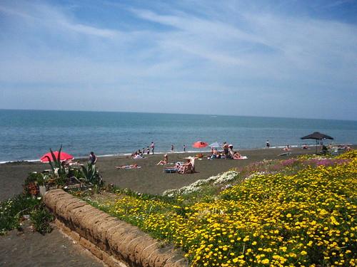 Sandee - HomePage / Ladispoli