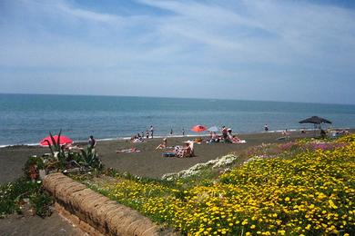 Sandee Ladispoli Beach
