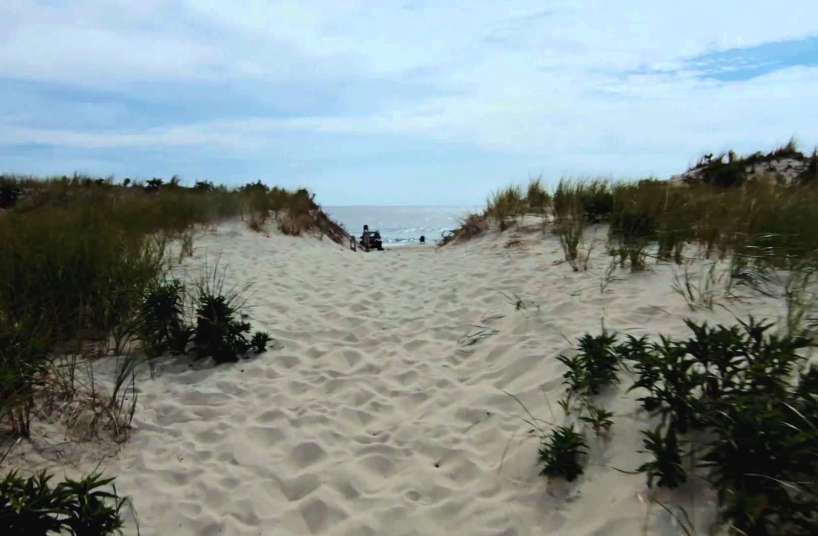 Sandee - Island Beach State Park