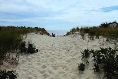 Sandee - Island Beach State Park