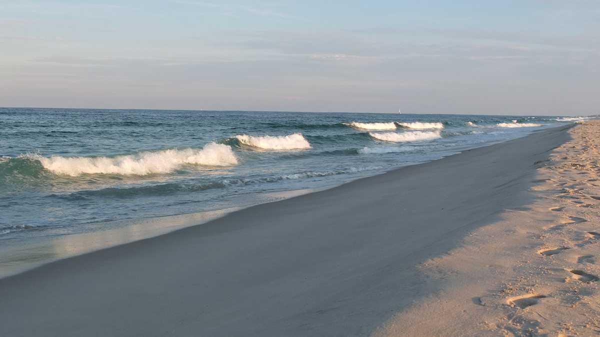 Sandee - Island Beach State Park