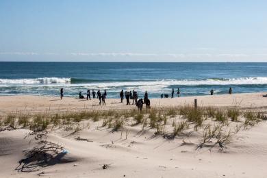 Sandee - Island Beach State Park