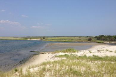 Sandee - Island Beach State Park