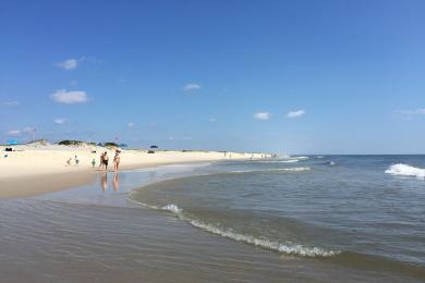 Sandee - Island Beach State Park