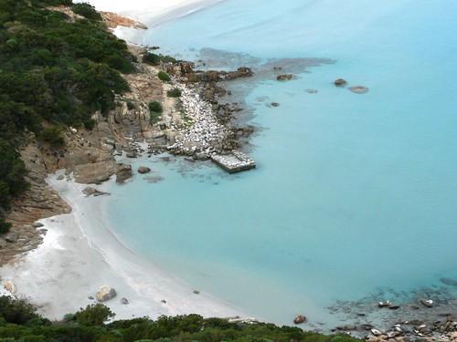 Sandee Cala Porto Giunco