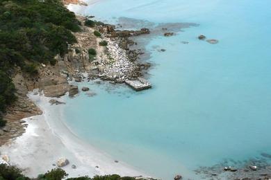 Sandee Cala Porto Giunco