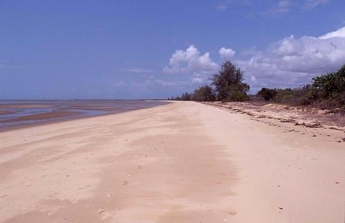 Sandee - Saadani National Park